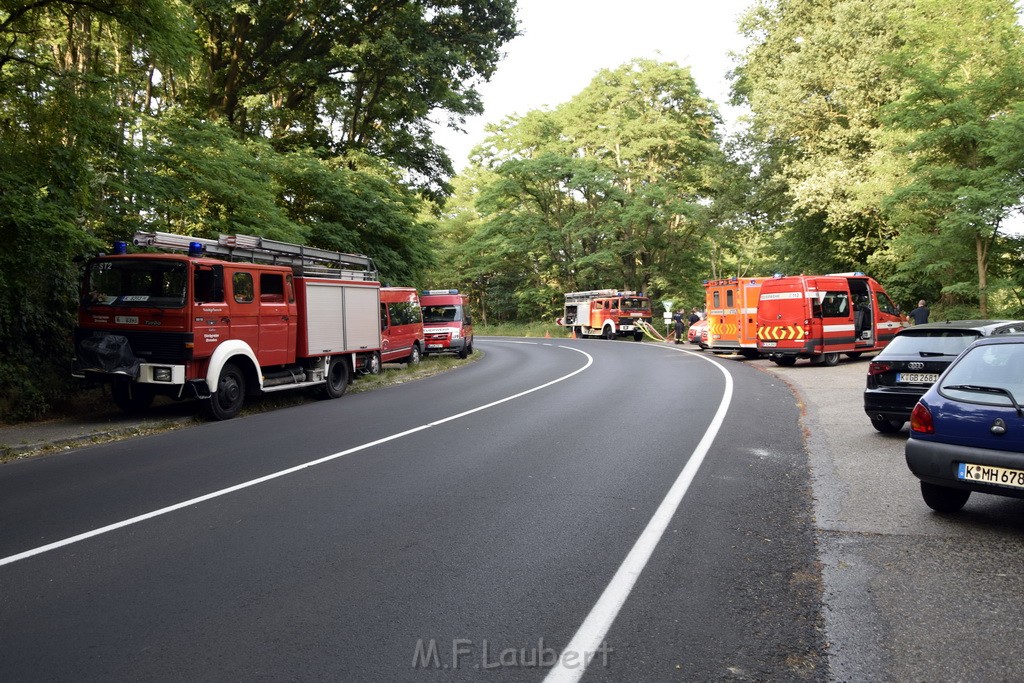 Waldbrand Koeln Hoehenhaus Hoehenfelder Mauspfad P214.JPG - Miklos Laubert